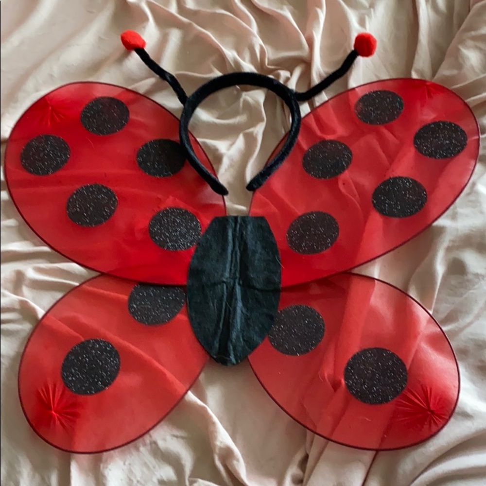 A headband and set of wings